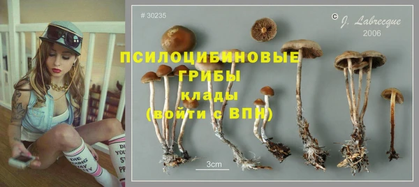 кристаллы Богородицк